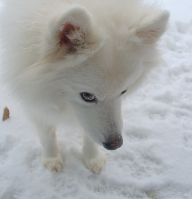 [2-DSC_0007%255B1%255D.png]