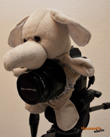 camera lens pal tutorial camera lens pal tutorial