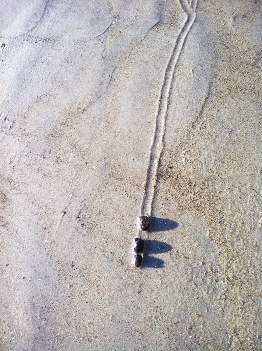 [IMG_1515%255B3%255D.jpg]