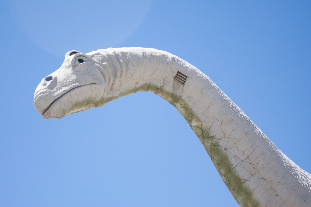 [20130619-IMG_06624.jpg]