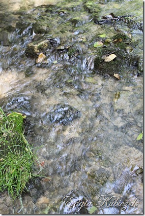 IMG_9326 IMG_9326