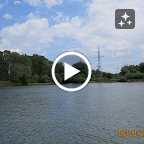 IMG_5561-MOTION.gif