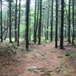 View album