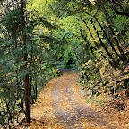 Entrance Road.jpg