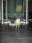 Those revolving doors look intimidating.