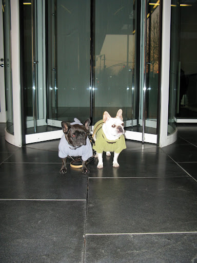 Those revolving doors look intimidating.