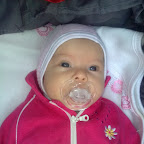 Andreea