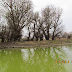 IMG_1542.JPG