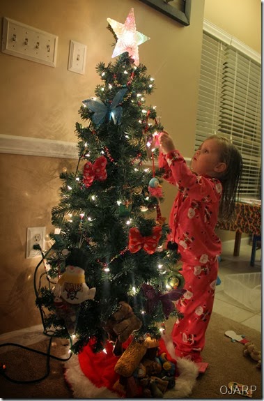 IMG_7695 IMG_7695