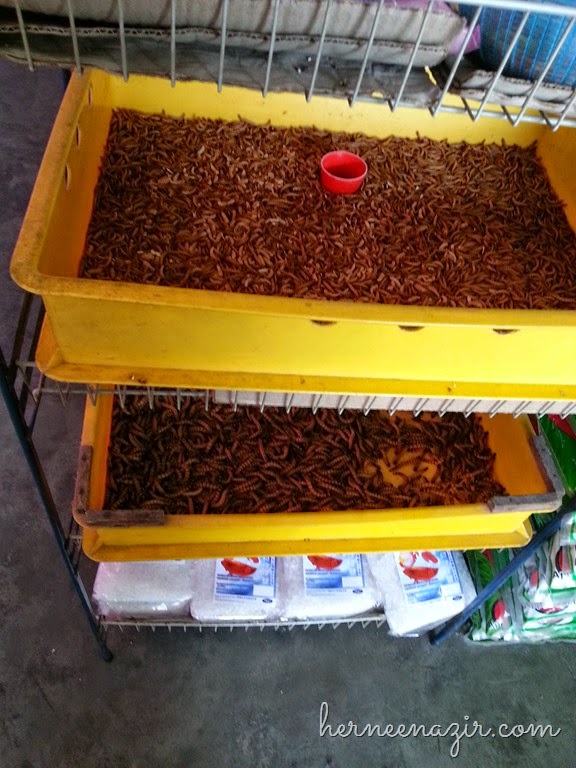 [20150104_104410.jpg]