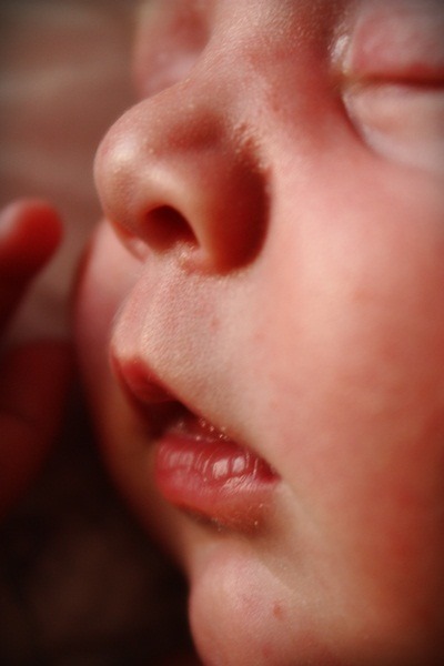 [IMG_0990-copy1.jpg]