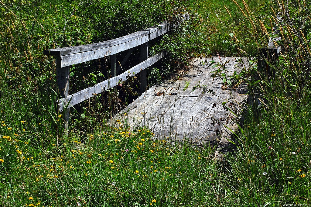 [DSC_2595%255B3%255D.jpg]
