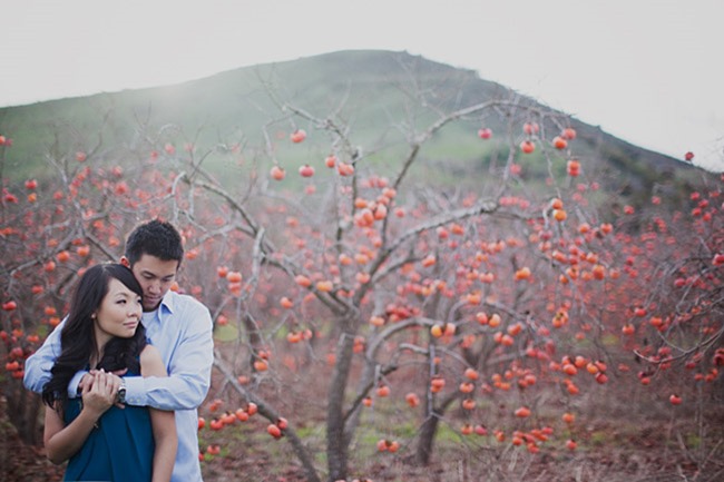 persimmon_engagement persimmon_engagement