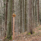 singold-bote_waldlehrpfad-schwabegg_038.jpg
