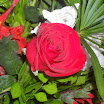 OgAAAPnph6brr-mGuiKF_7HMN1ApSOrYlMg_w7oETVbynJLEQl4PTzop2VDJH30yD2fO3ykS5Mfiw-B8cs6h3IXJPeYAm1T1UDCXBy0-c195akVd-iuOHM7sVjqE.jpg