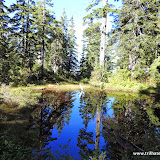 Descendo a trilha do Bedwell Lake, Strathcona Park, Vancouver Island, BC, Canadá