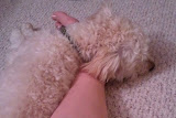 2011-10-09 22.24.43.jpg