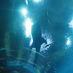 me and B trip to boston and ga aquarium 138.JPG