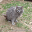 IMG_2758.JPG