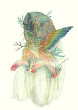 Morgaine Faye