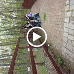 P1090684.MOV