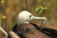 IMG_9583 IMG_9583