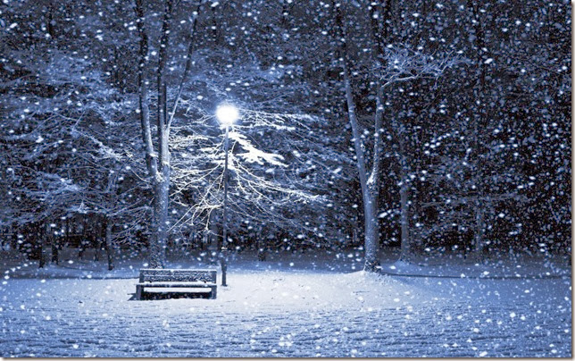 snowy night snowy night