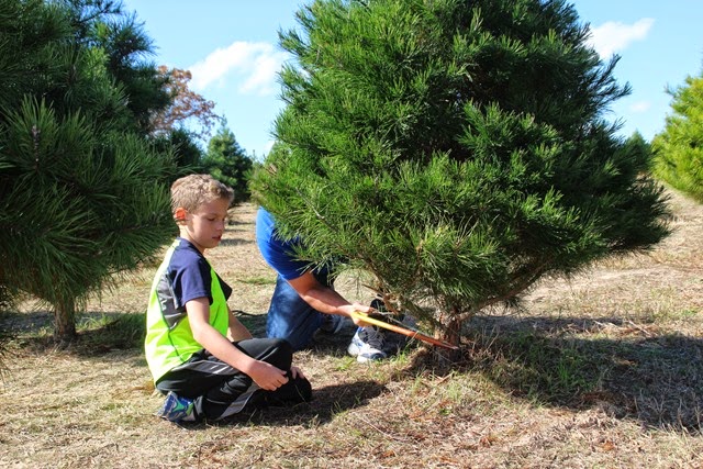 [IMG_4150%255B8%255D.jpg]