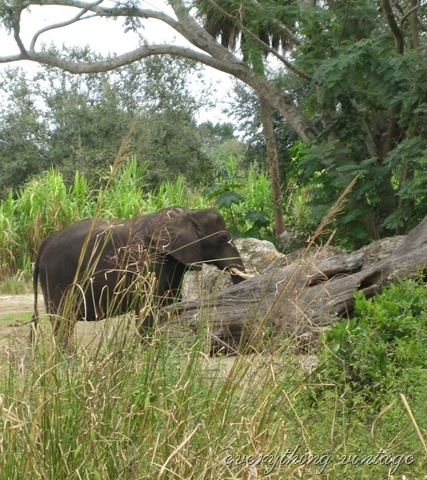 [disney%2520019%2520%25282%2529%255B8%255D.jpg]