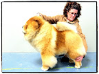 And what a true imperial posture!  Jan, the handler, is showing it off.  (Photo credit Joe Noel)