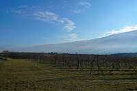 P1090778.JPG