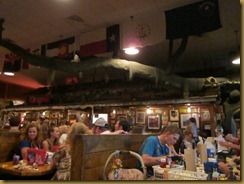 IMG_5952 IMG_5952