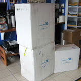 VideoRayOpening
