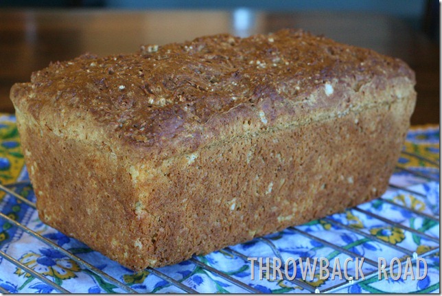 irish bread 011 irish bread 011