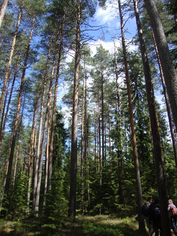 [DSC03028%255B3%255D.jpg]