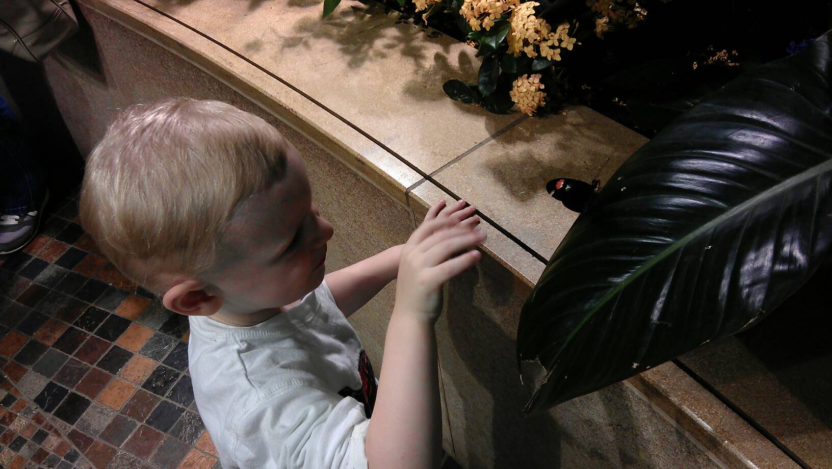 Waving to a butterfly