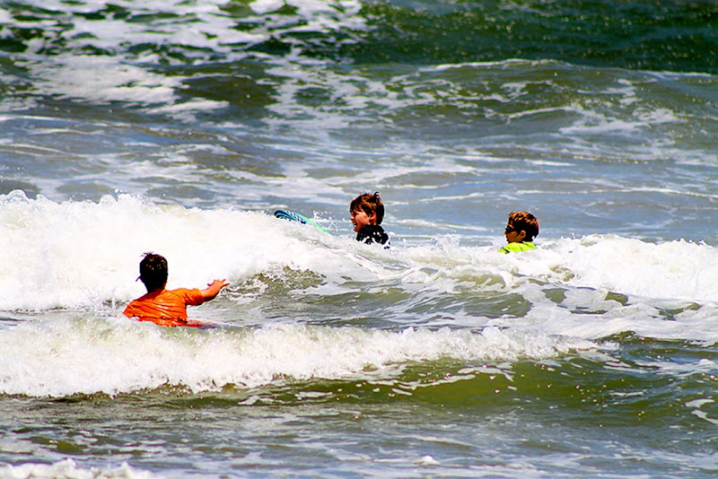009web 009web
