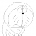 Twitter icon size W73xH73
