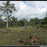 IMG_8655.JPG