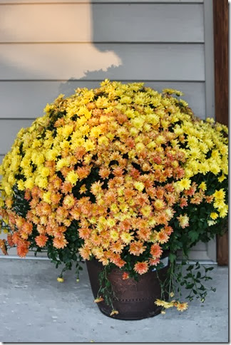 IMG_1860 IMG_1860