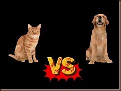 ! dog vs cat