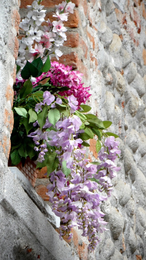 [2013-03-23-Ricetto-Candelo-0956.jpg]