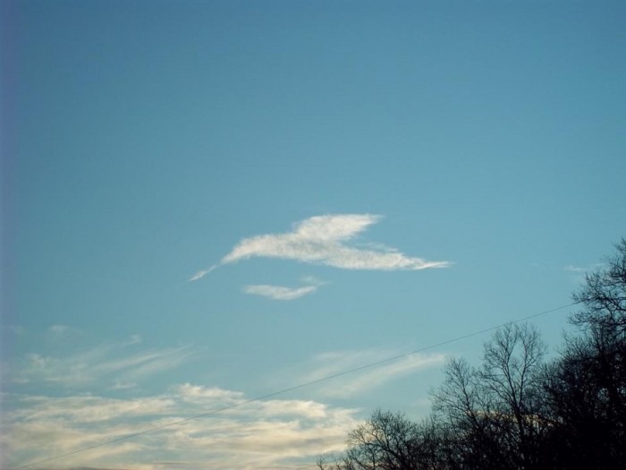 صور رائعة لغيوم تأخذ اشكالا مألوفة Hummingbird%25255B3%25255D