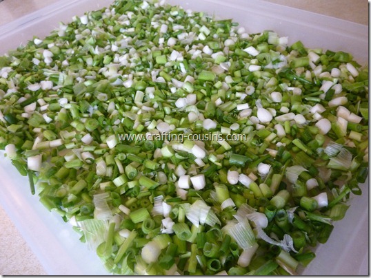 How to prepare green onions for the freezer.  Tips from the Crafty Cousins (12)