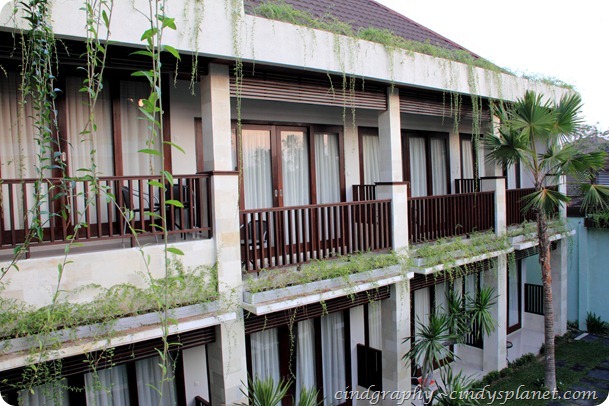 DPP Bali (664) DPP Bali (664)