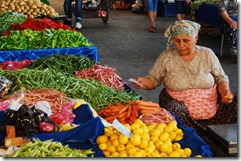 DSC_0339 DSC_0339