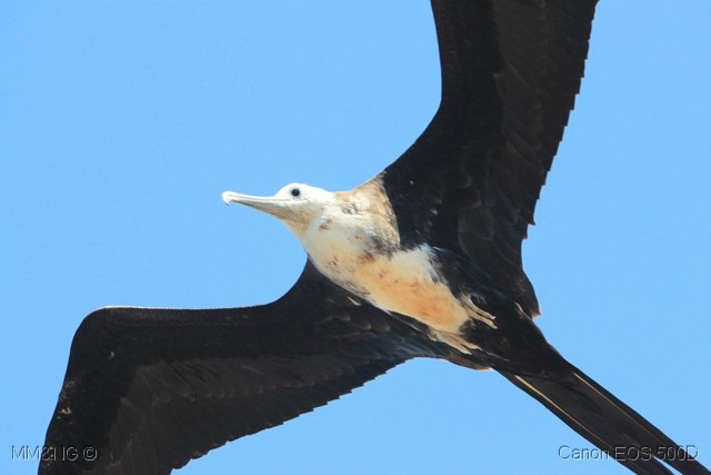 [IMG_9443%255B7%255D.jpg]