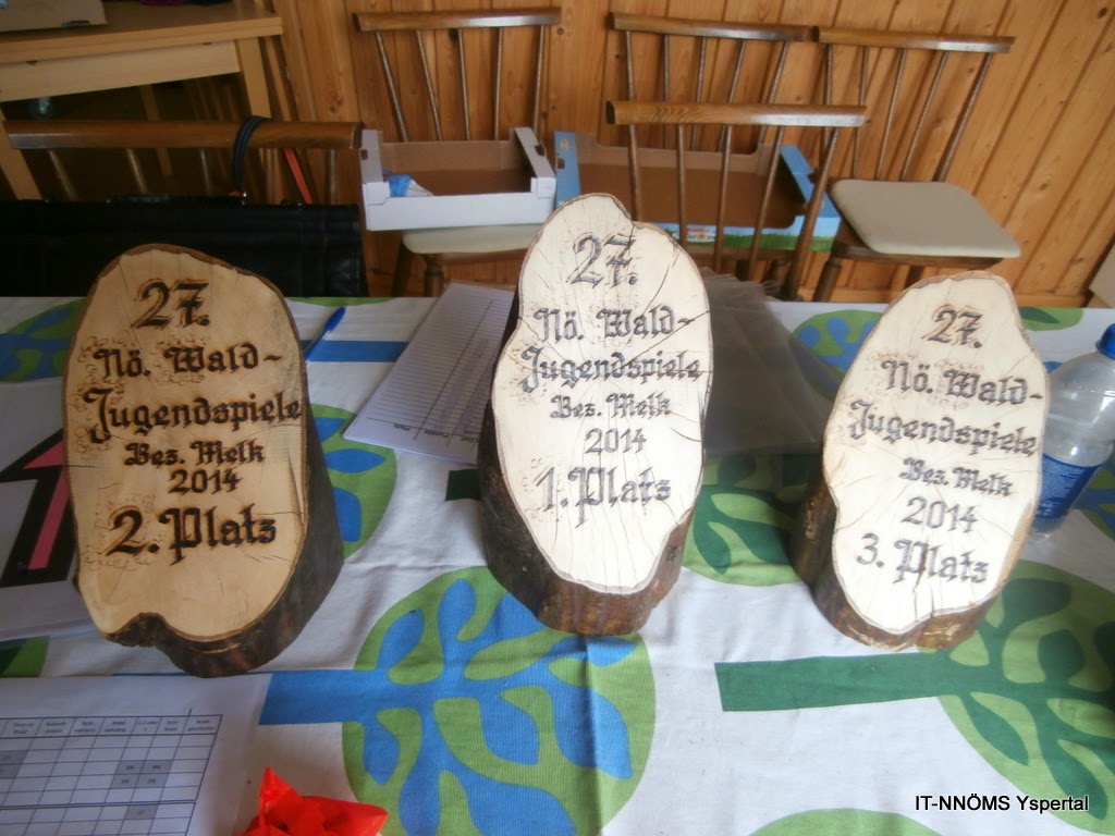 2013-14_Waldjugendspiele_00.JPG