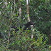 TIRIMBINA 2008 Andrea Florez 2 -Colombia 398.JPG