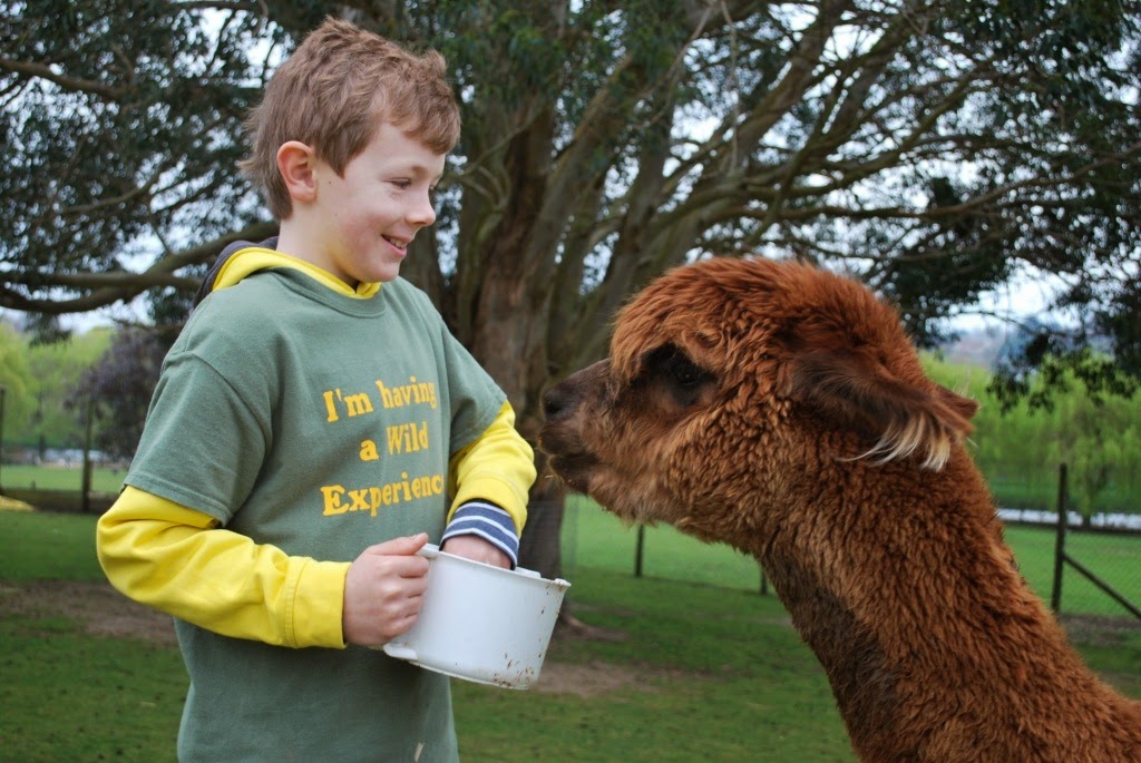 [DSC_0462%255B7%255D.jpg]